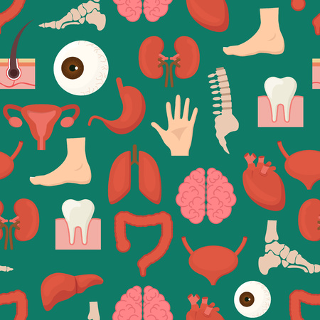 Cartoon Human Internal Organs Background Pattern on a Green. Vectorのイラスト素材