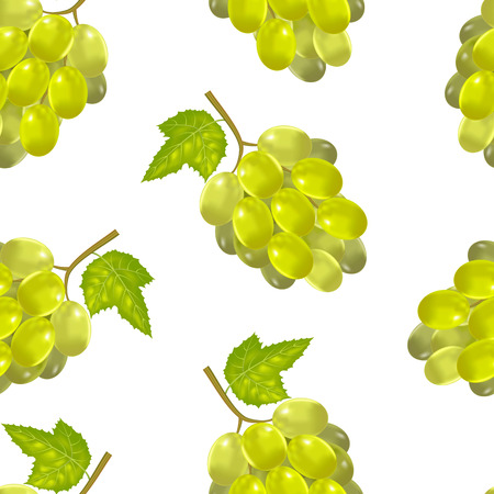 Realistic Detailed Green Bunch Of Grapes Background Pattern. Vectorのイラスト素材