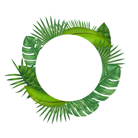 Realistic Detailed Green Leaves of Plants. Vectorのイラスト素材