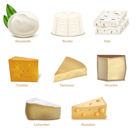 Realistic Detailed 3d Cheese Different Types Set. Vectorのイラスト素材