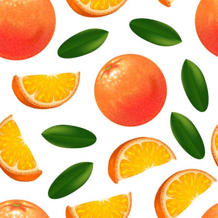 Realistic Detailed Orange Citrus Fruit Background Pattern. Vectorの写真素材