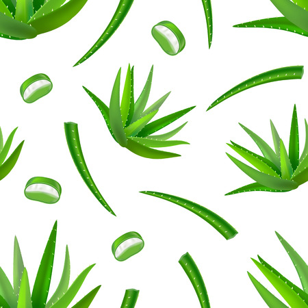 Realistic detailed of aloe Vera pattern, vector illustration.のイラスト素材