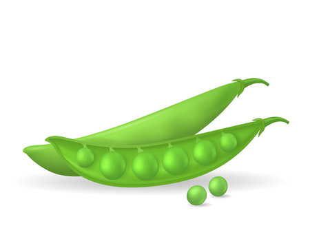 Realistic Detailed 3d Green Peas. Vector illustration.のイラスト素材