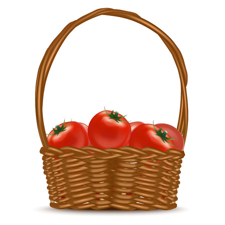 Realistic Detailed 3d Basket Full with Red Ripe Tomatoes Healthy Organic Vegetable for Ad. Vector illustration of Tomatoのイラスト素材