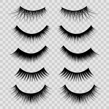 Realistic Detailed 3d Feminine Black Lashes Set. Vector illustration.のイラスト素材