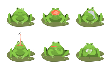 Cartoon Cute Green Frogs Characters Icon Set. Vectorのイラスト素材
