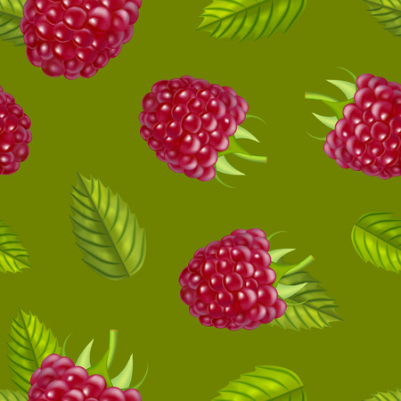 Realistic Detailed Ripe Red Raspberry Berry.のイラスト素材