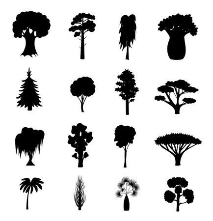Silhouette Black Different Tree Types Icons Set. Vectorのイラスト素材
