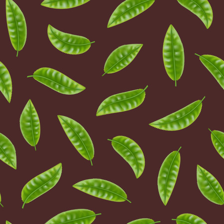 Realistic Detailed 3d Elements Set of Tea Seamless Pattern Background Fresh Green Leaves Plant. Vector illustrationのイラスト素材