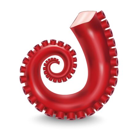 Realistic 3d Detailed Red Tentacle of Octopus. Vectorのイラスト素材