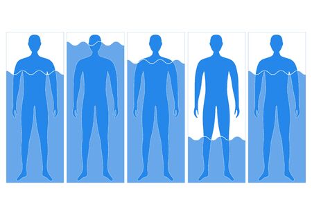 Cartoon Body and Water Empty Chart Infographics Card Poster. Vectorのイラスト素材