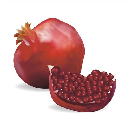 Realistic Detailed 3d Fresh Pomegranate Set. Vectorのイラスト素材