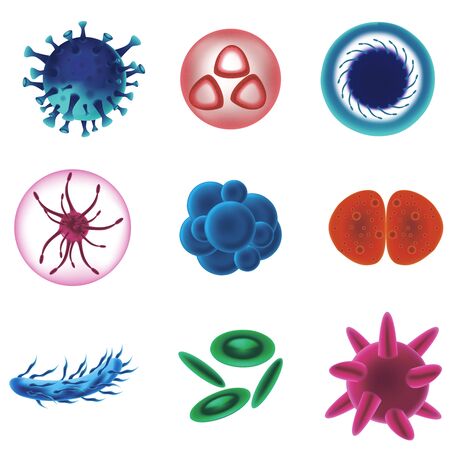 Realistic Detailed 3d Various Viruses Bacteria Set. Vectorのイラスト素材