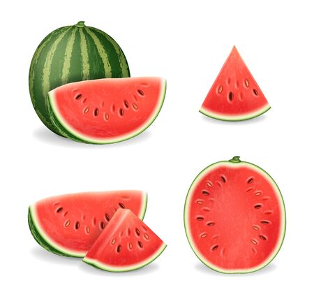 Realistic Detailed 3d Sliced Ripe Red Watermelon Set. Vectorのイラスト素材
