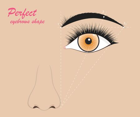 Perfect Eyebrow Scheme Banner Concept Ad Poster Card. Vectorのイラスト素材