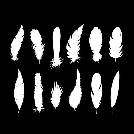 Silhouette Different Types Feathers Bird Set. Vectorのイラスト素材