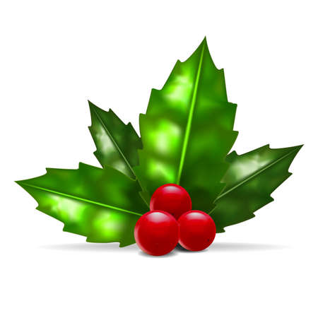 Realistic Detailed 3d Red Christmas Holly Berry with Green Leaves Symbol of Season Holiday. Vector illustrationのイラスト素材