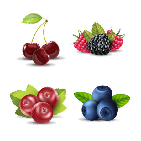 Realistic Detailed 3d Raw Berries Set. Vectorのイラスト素材