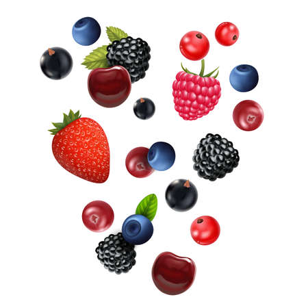 Realistic Detailed 3d Different Types Raw Berries Set. Vectorのイラスト素材
