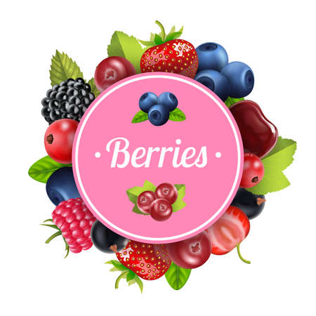Realistic Detailed 3d Berry Round Design Template Banner. Vectorのイラスト素材