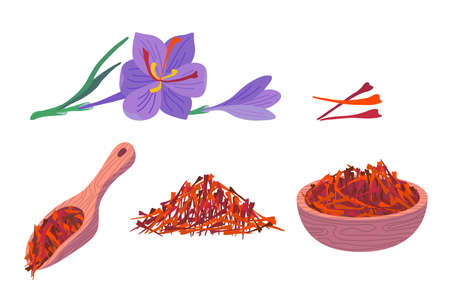 Cartoon Color Saffron Flower and Spice Set Flat Design Style Include of Condiment Pile, Wooden Spoon and Bowl. Vector illustrationのイラスト素材