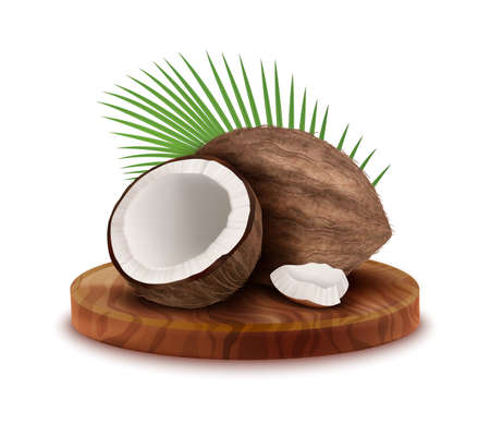 Realistic Detailed 3d Whole Coco Nut and Half Set with Green Palm Leaf. Vector illustration of Coconutのイラスト素材