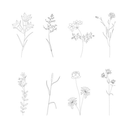 Botanical Plant Signs Thin Line Icons Set Include of Bellflower and Cornflower. Vector illustration of Flower Iconのイラスト素材
