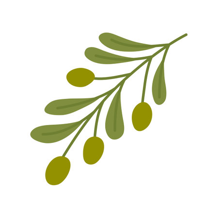 Cartoon Color Green Olives Branch with Leaves Mediterranean Kitchen Concept Flat Design Style. Vector illustrationのイラスト素材