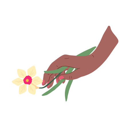Cartoon Color Female Hand Holding Narcissist Romantic Blooming Concept Element Flat Design Style. Vector illustration of Flowerのイラスト素材