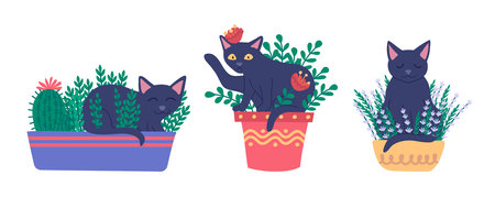 Cartoon Color Characters Cats in Pots and Plant Flowers Box Set Concept Flat Design Style. Vector illustrationのイラスト素材