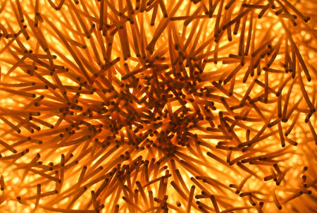 This lamp texture are made by rattan plamの写真素材