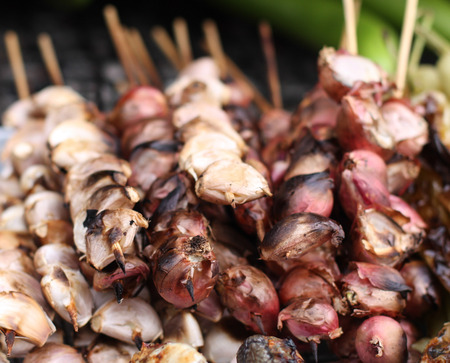 Garlic and Onions Bar-B-Q on skewersの写真素材