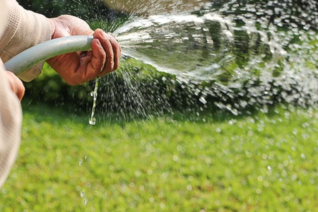 A asian man watering the garden on sunny dayの写真素材