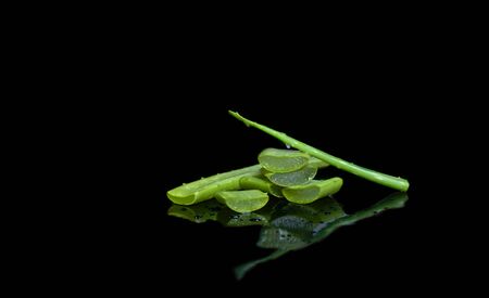 Fresh cut aloe vera leaf isolated in black backgroundの写真素材