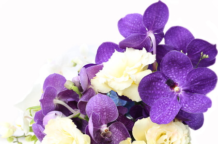 Bouquet with purple orchids, roses, Hydrangea flower in white backgroundの写真素材