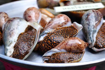 Fresh abalones snail close-up in the marketの写真素材