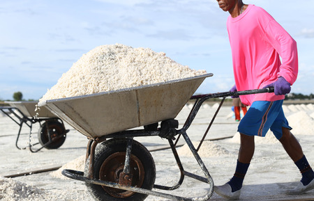 Unidentified people pushing trolley full of salt in salt pan in Thailandの写真素材