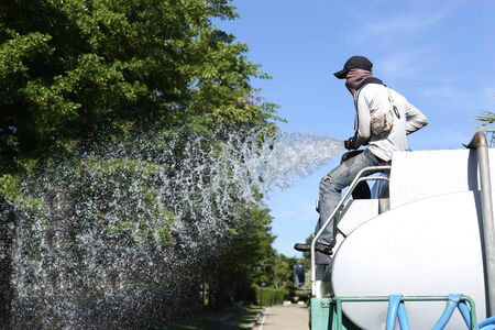 Unidentified man on water truck watering big tree in the parkの写真素材