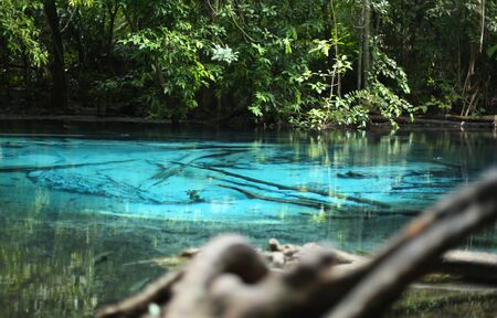 Nature of Emerald or Blue pond in the deep forest in Krabi Thailandの写真素材