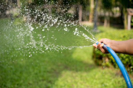 Gardener watering the garden on sunny day