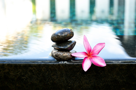 Pink Frangipani flowers and wet black stones in Spa conceptの写真素材