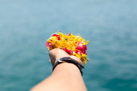 Human hands holding colorful flower over fresh waterの写真素材