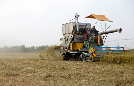 Unidentified man with Harvester machine to harvest rice field working in Thailand