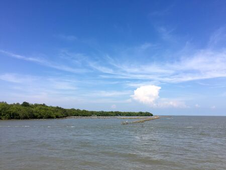Landscape view of coastal forest conservation site in blue skyの写真素材