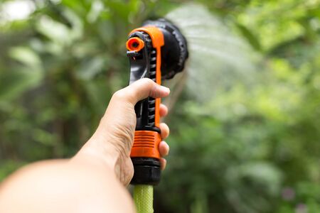 Gardener watering plant with hose in the gardenの写真素材