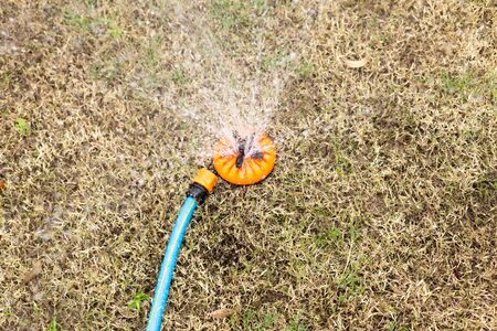 Watering dry grass lawn with Sprinkler in the gardenの写真素材
