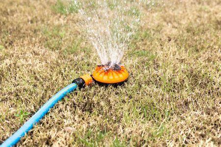 Watering dry grass lawn with Sprinkler in the gardenの写真素材