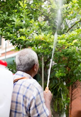 Unidentified senior man spraying  insecticides on a tree in gardenの写真素材
