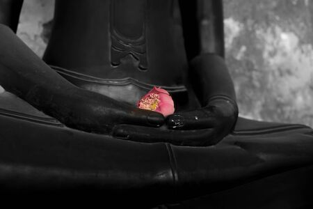Pink lotus in hand of black buddha statueの写真素材