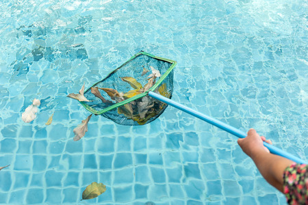 Cleaning swimming pool of fall leaves with cleaning net in the morningの写真素材
